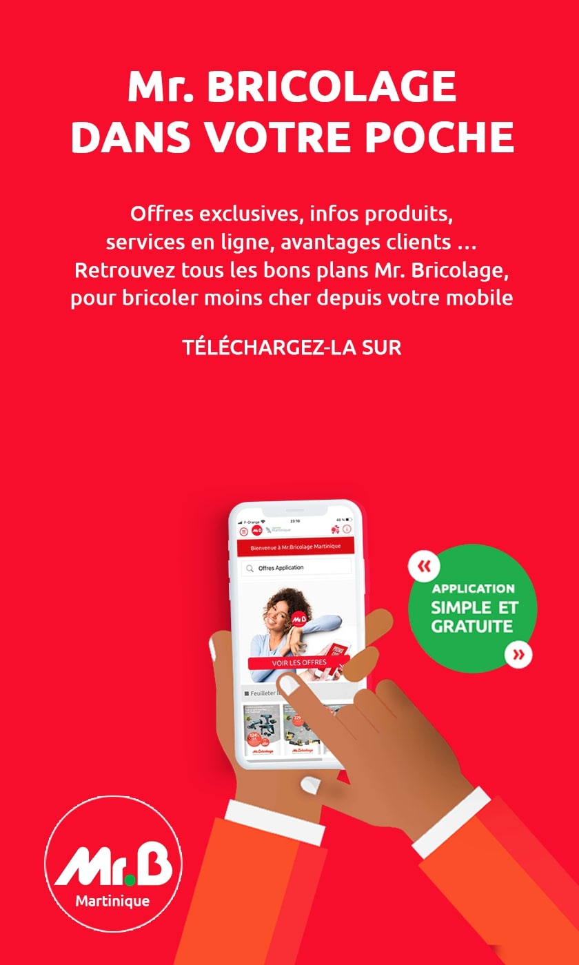 Mr.Bricolage mobile slide application