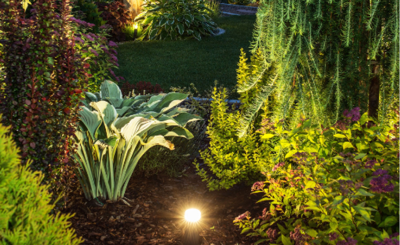 Nos conseils pour optimiser l’éclairage de votre jardin - Jardin, Tutos - Mr.Bricolage Martinique