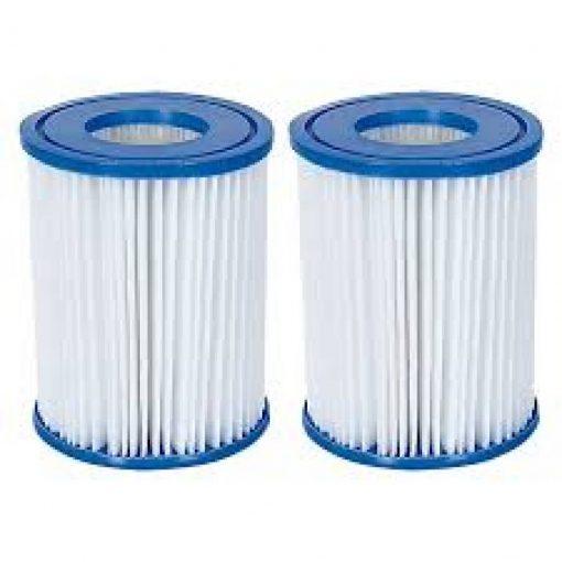 Lot de 2 cartouches de filtration type II