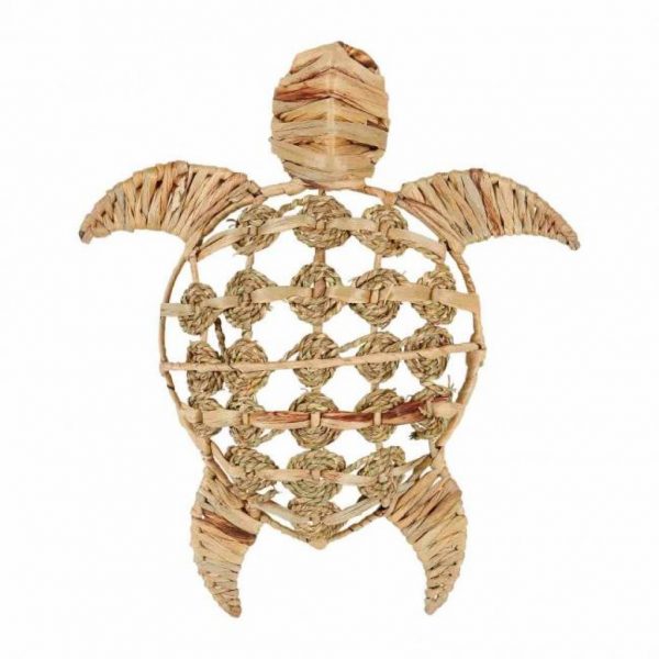 Tortue nature - - Mr.Bricolage Martinique