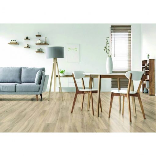 Accueil - - Mr.Bricolage Martinique