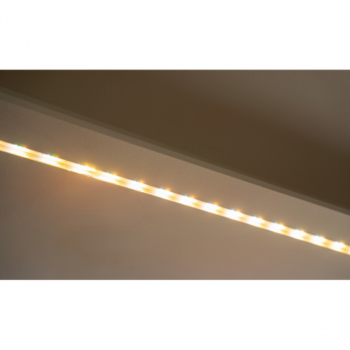 Accueil - - Mr.Bricolage Martinique